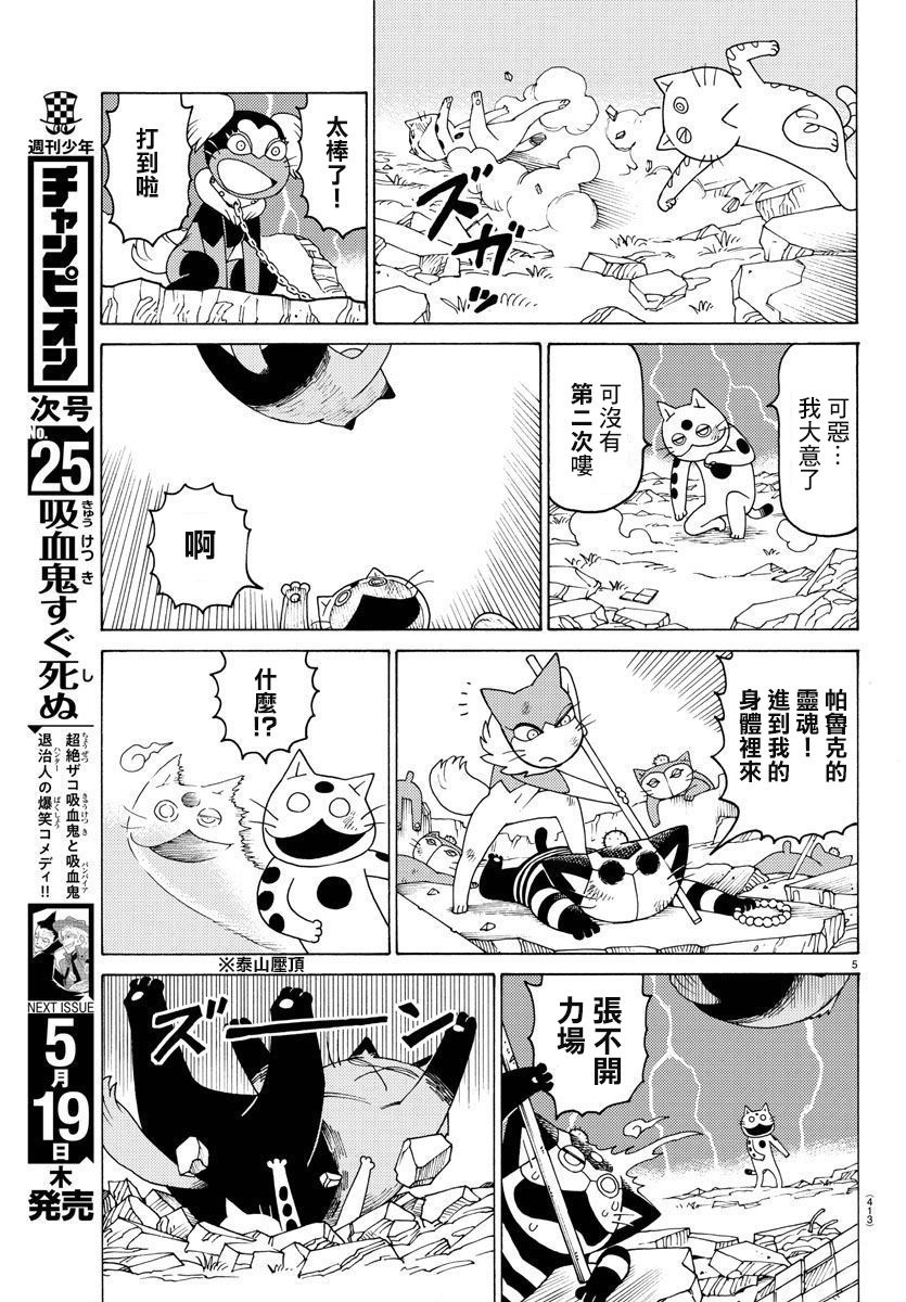 《我家的街猫》漫画最新章节第656话免费下拉式在线观看章节第【5】张图片