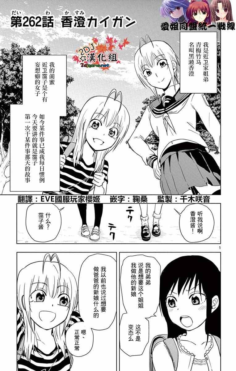 《姐姐的妄想日记》漫画最新章节第262话免费下拉式在线观看章节第【1】张图片