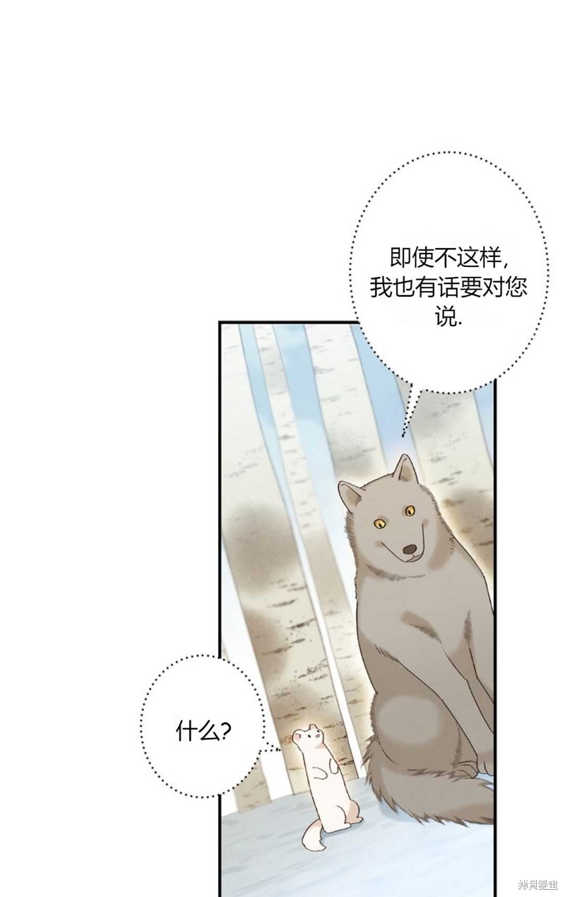 《白鼬小姐想死去!》漫画最新章节第1话免费下拉式在线观看章节第【38】张图片