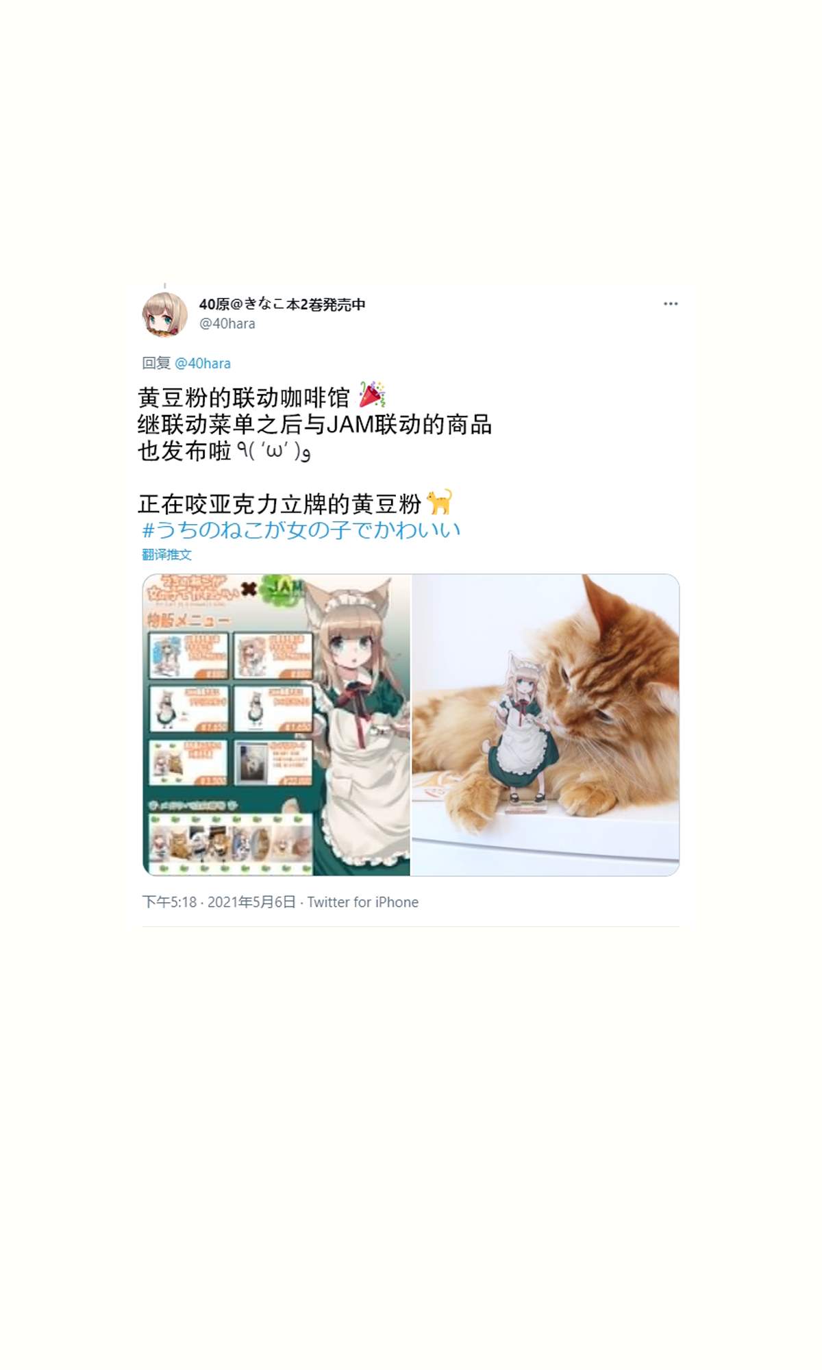 《我家的猫猫是可爱的女孩子！》漫画最新章节杂图13免费下拉式在线观看章节第【14】张图片