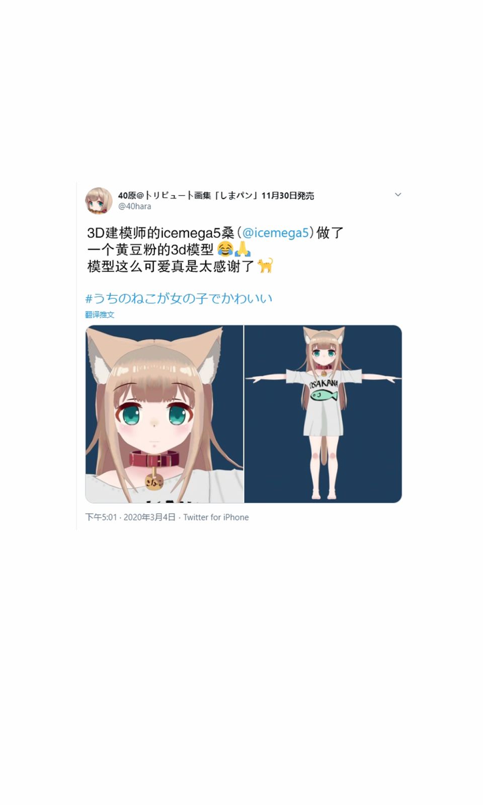 《我家的猫猫是可爱的女孩子！》漫画最新章节杂图4免费下拉式在线观看章节第【12】张图片