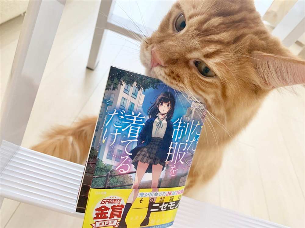 《我家的猫猫是可爱的女孩子！》漫画最新章节杂图15免费下拉式在线观看章节第【14】张图片