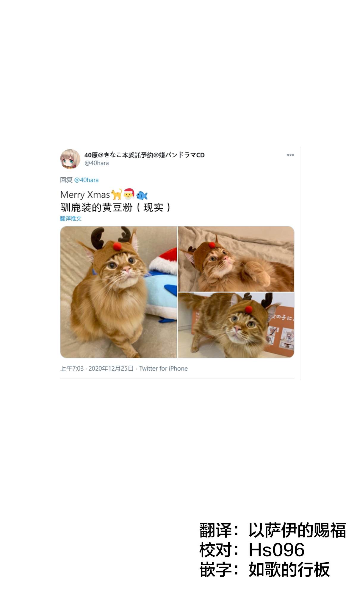 《我家的猫猫是可爱的女孩子！》漫画最新章节杂图7免费下拉式在线观看章节第【1】张图片