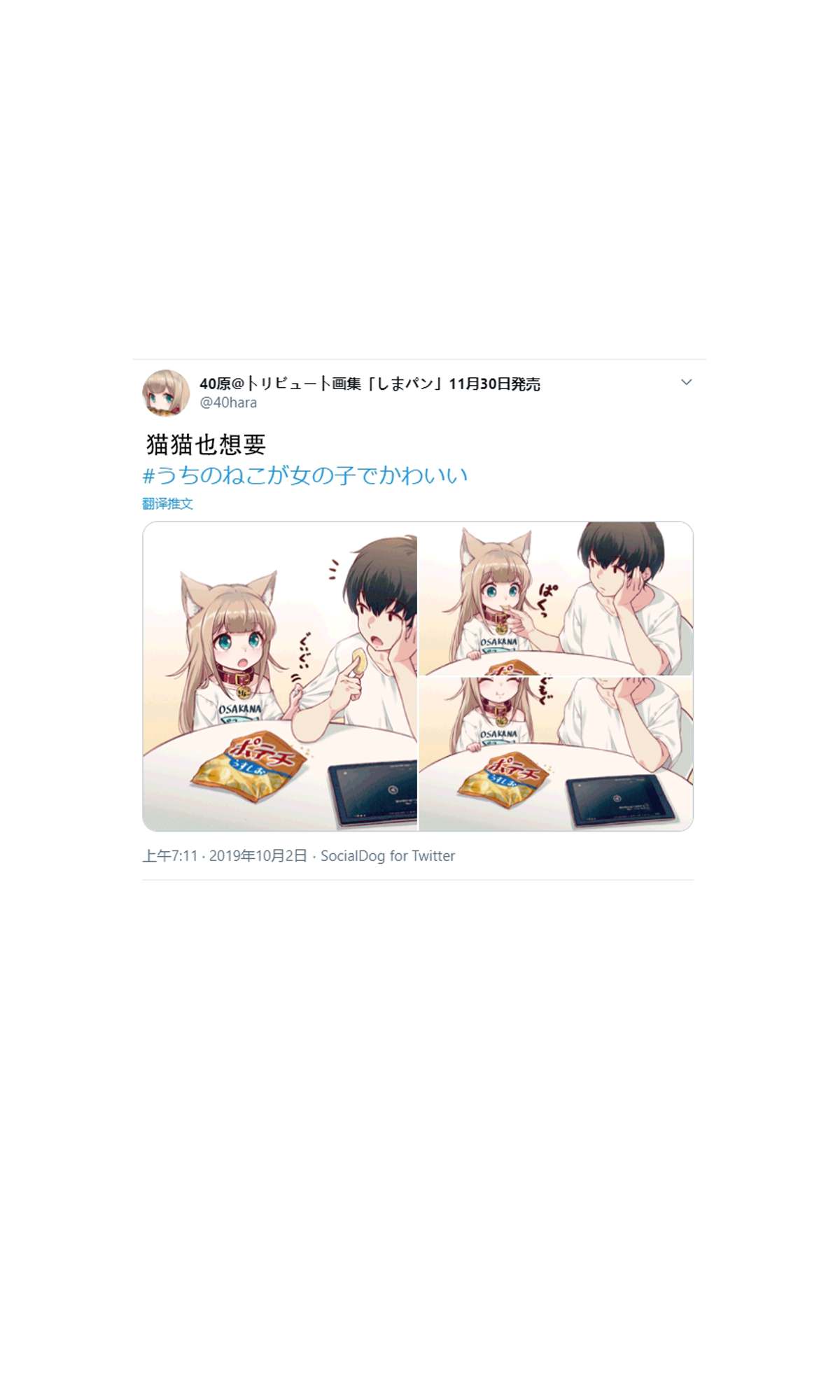 《我家的猫猫是可爱的女孩子！》漫画最新章节杂图2免费下拉式在线观看章节第【24】张图片