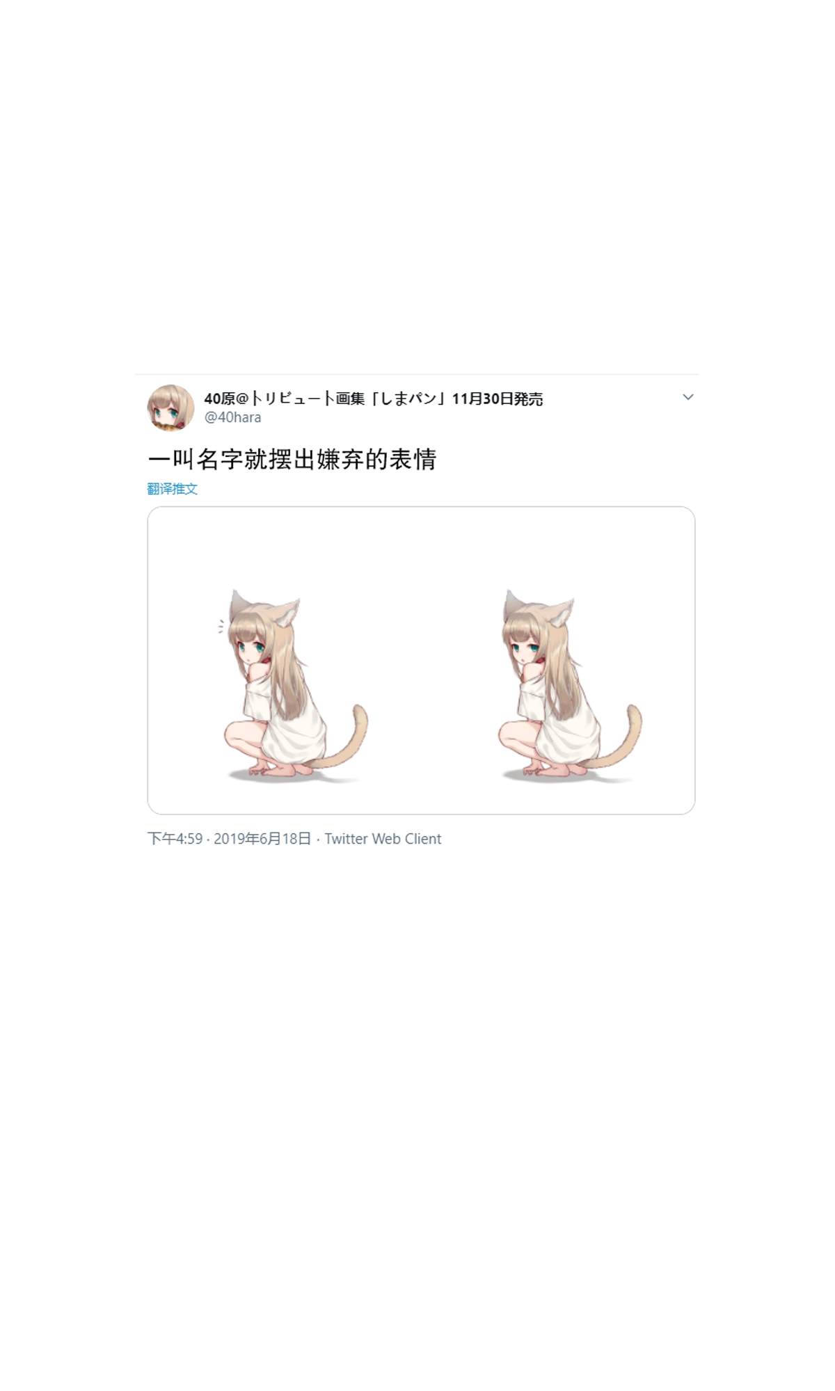 《我家的猫猫是可爱的女孩子！》漫画最新章节杂图1免费下拉式在线观看章节第【28】张图片