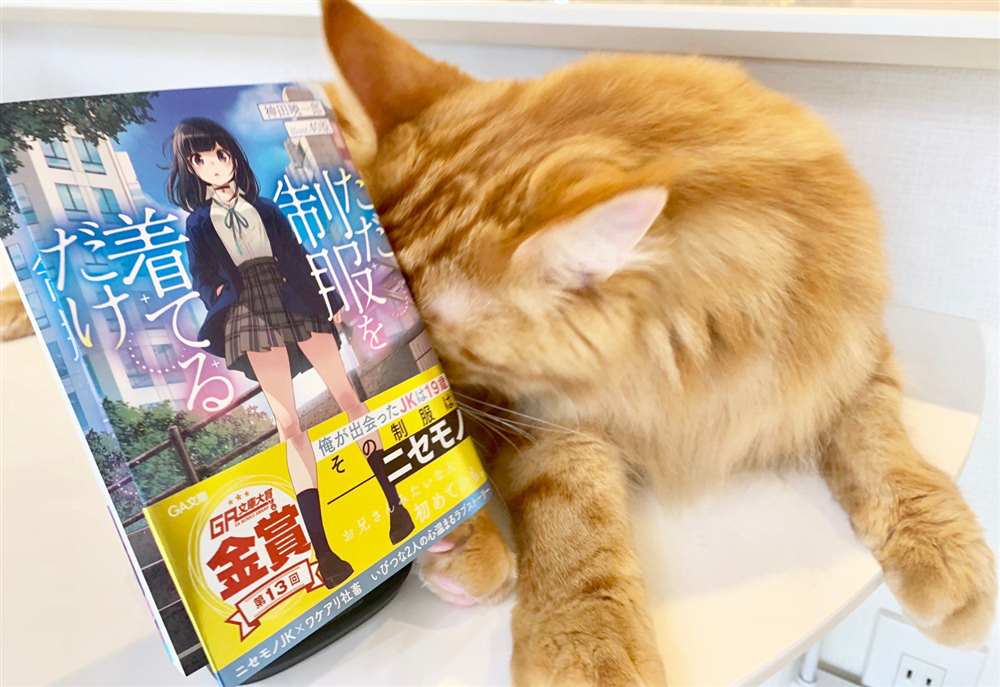 《我家的猫猫是可爱的女孩子！》漫画最新章节杂图15免费下拉式在线观看章节第【13】张图片