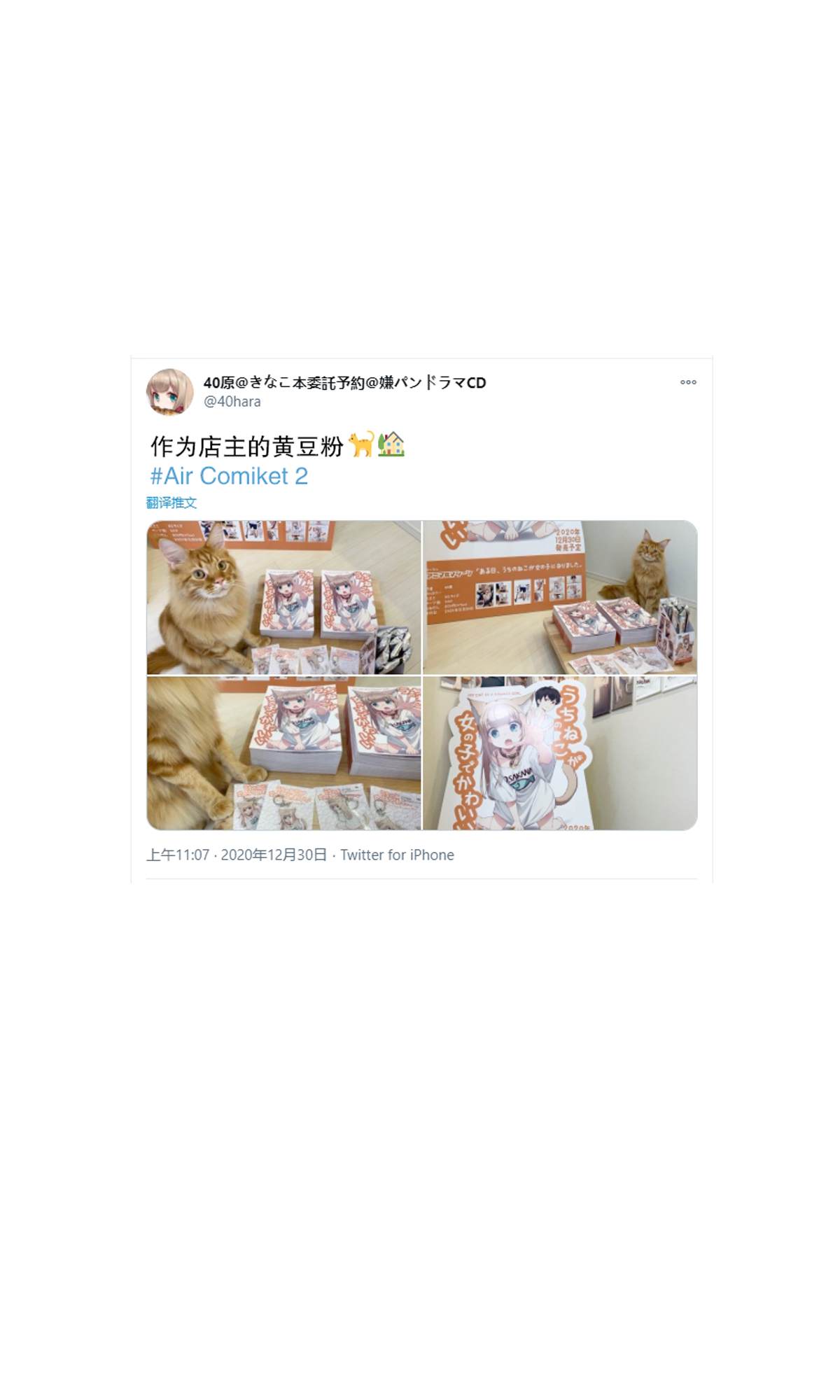 《我家的猫猫是可爱的女孩子！》漫画最新章节杂图7免费下拉式在线观看章节第【7】张图片