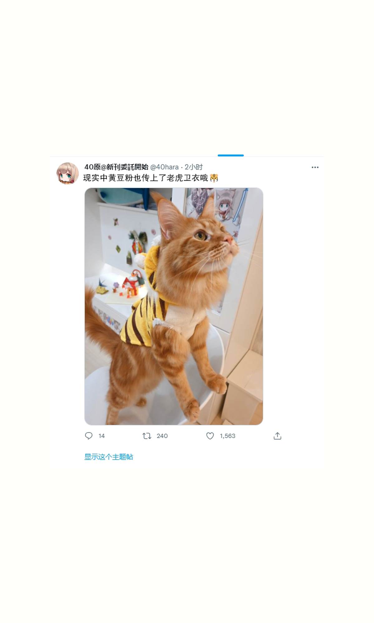 《我家的猫猫是可爱的女孩子！》漫画最新章节杂图17免费下拉式在线观看章节第【10】张图片