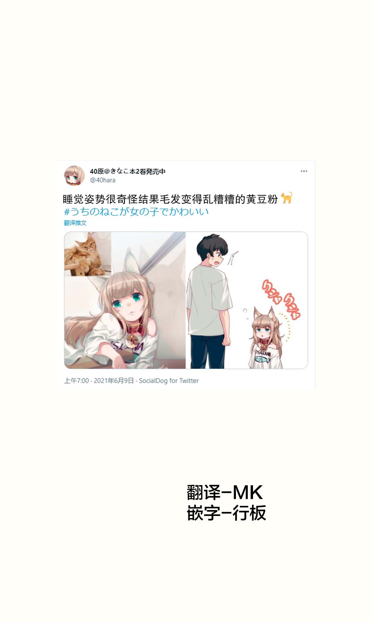 《我家的猫猫是可爱的女孩子！》漫画最新章节杂图14免费下拉式在线观看章节第【1】张图片