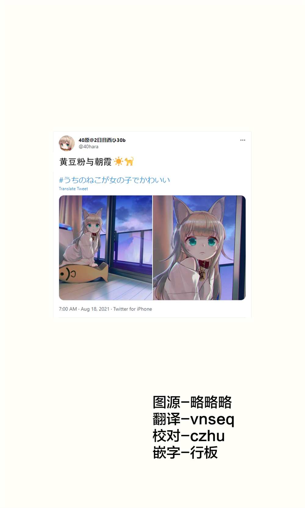 《我家的猫猫是可爱的女孩子！》漫画最新章节杂图16免费下拉式在线观看章节第【1】张图片