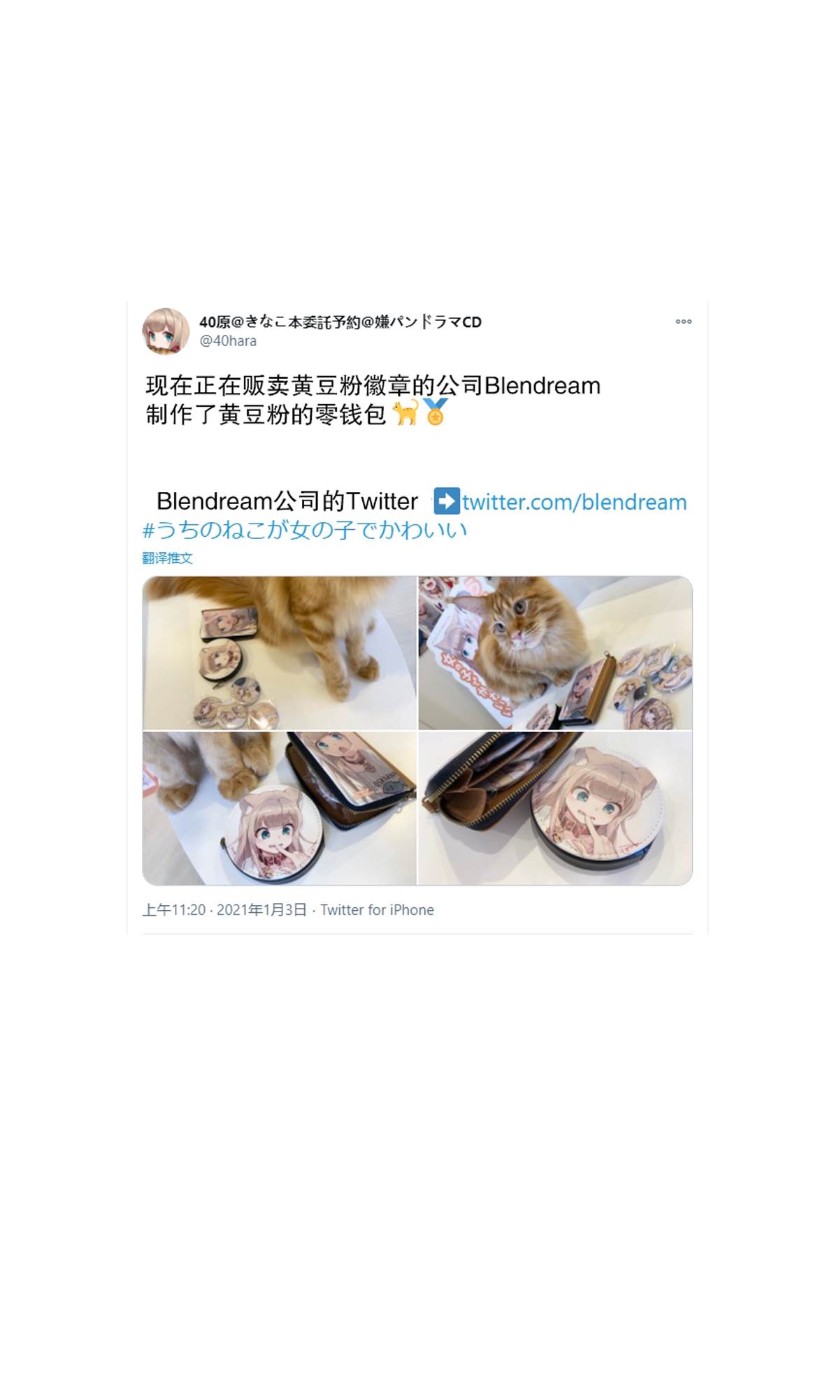 《我家的猫猫是可爱的女孩子！》漫画最新章节杂图7免费下拉式在线观看章节第【15】张图片