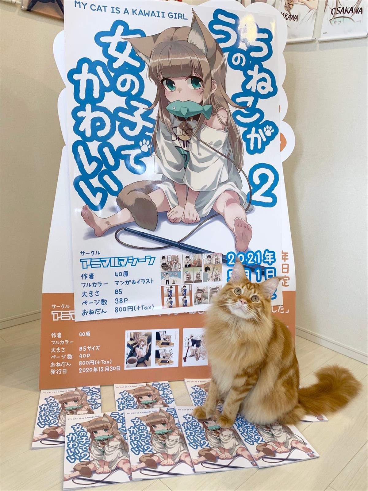 《我家的猫猫是可爱的女孩子！》漫画最新章节杂图13免费下拉式在线观看章节第【9】张图片