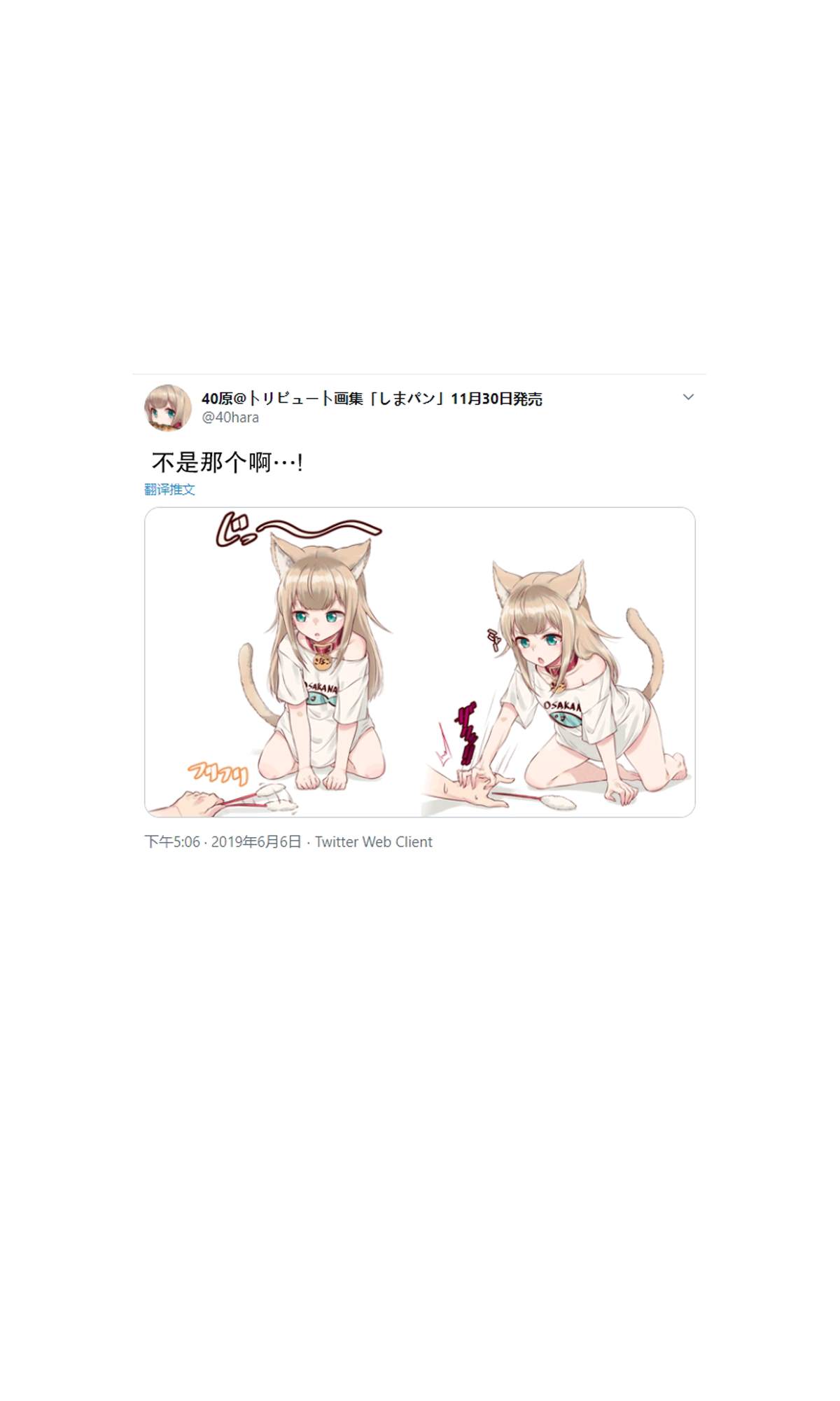 《我家的猫猫是可爱的女孩子！》漫画最新章节杂图1免费下拉式在线观看章节第【25】张图片