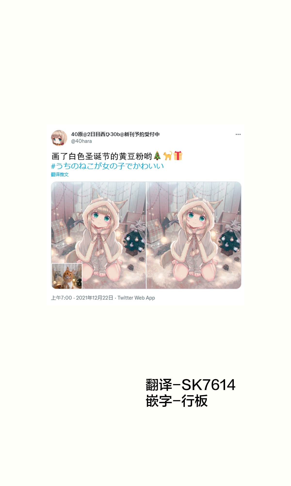 《我家的猫猫是可爱的女孩子！》漫画最新章节杂图17免费下拉式在线观看章节第【3】张图片