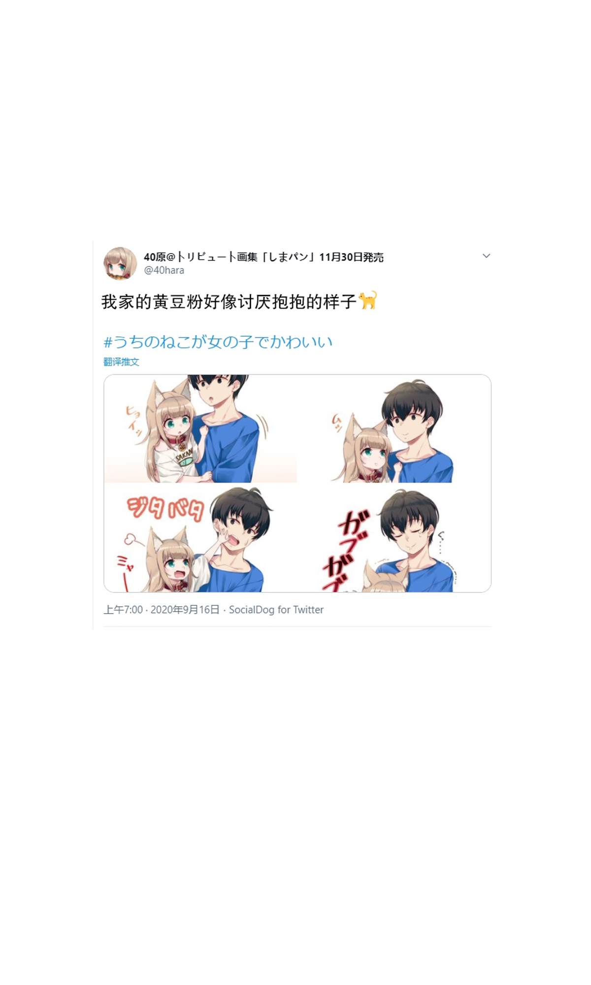 《我家的猫猫是可爱的女孩子！》漫画最新章节杂图6免费下拉式在线观看章节第【12】张图片