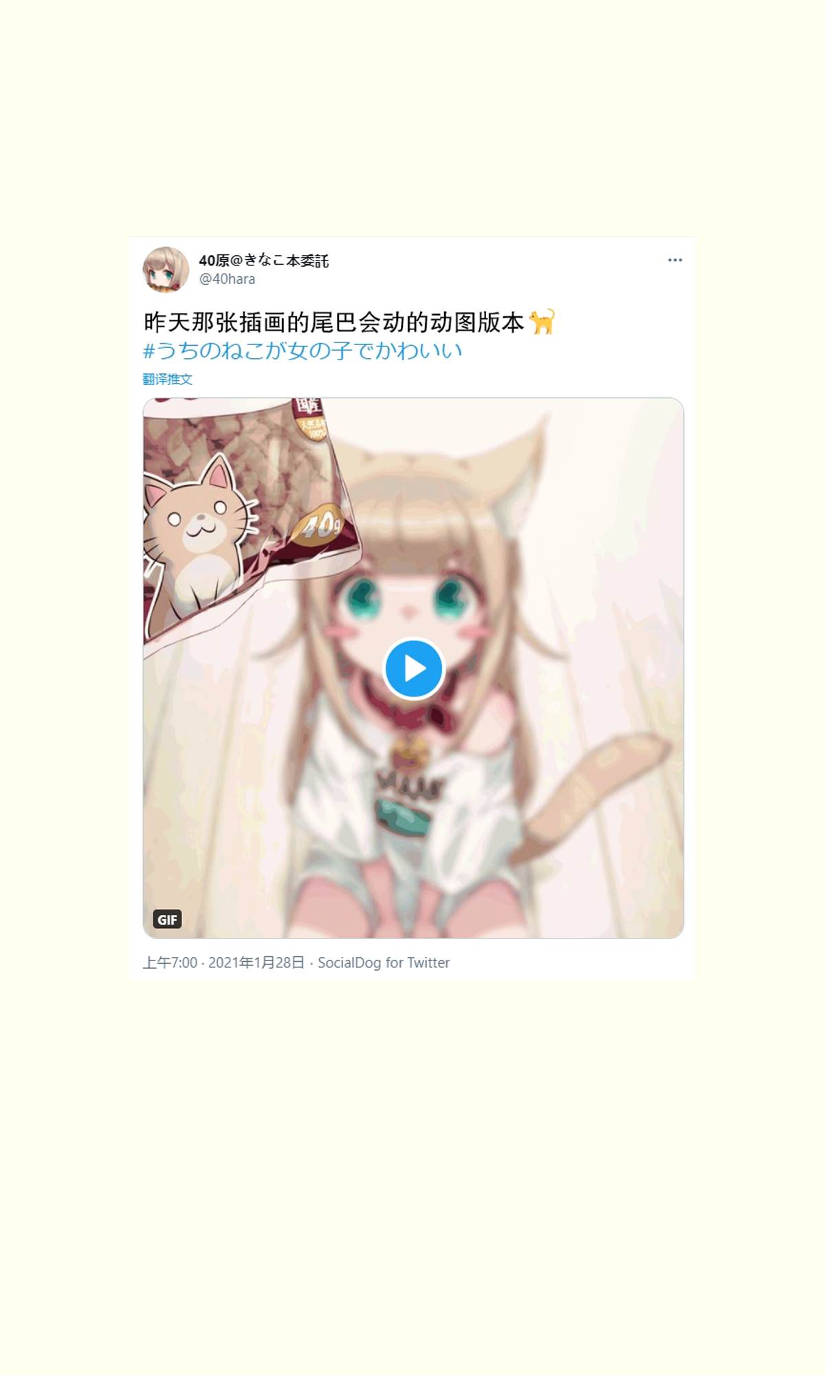 《我家的猫猫是可爱的女孩子！》漫画最新章节杂图9免费下拉式在线观看章节第【13】张图片