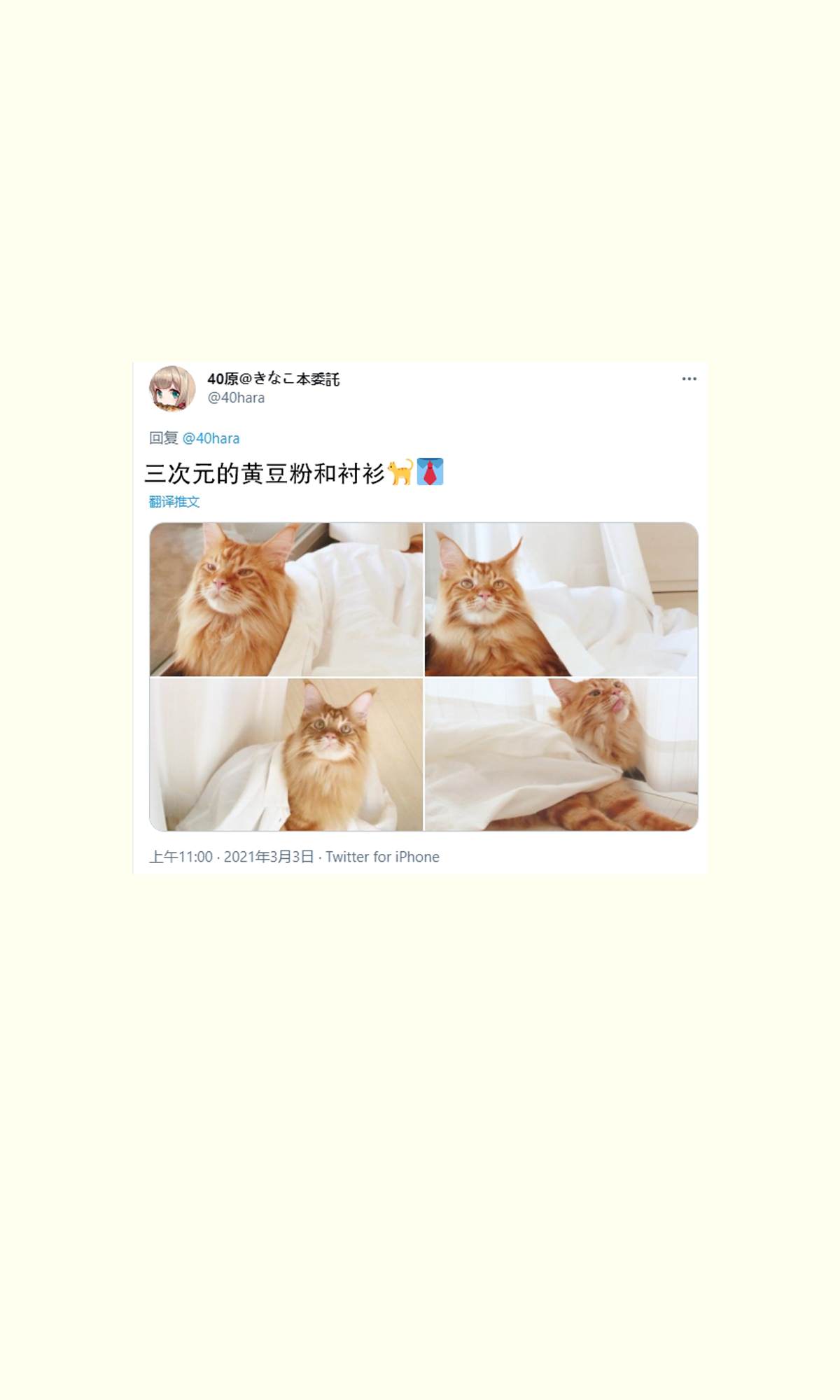 《我家的猫猫是可爱的女孩子！》漫画最新章节杂图11免费下拉式在线观看章节第【17】张图片