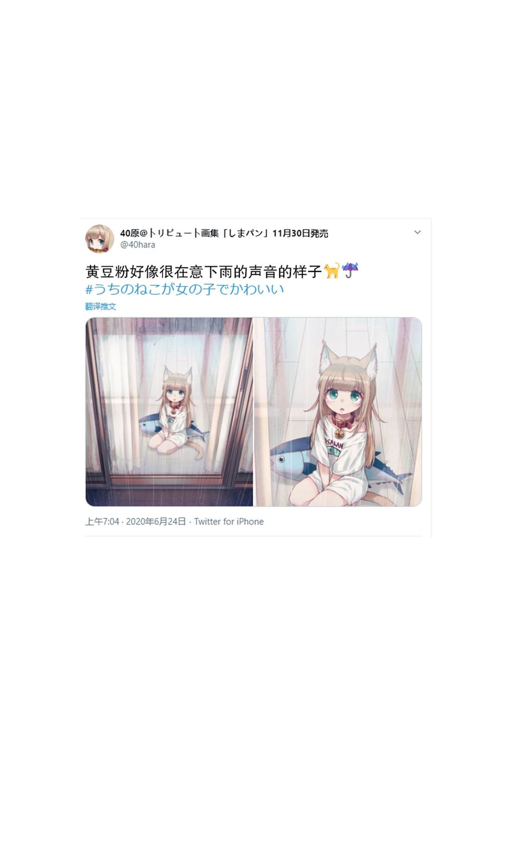 《我家的猫猫是可爱的女孩子！》漫画最新章节杂图5免费下拉式在线观看章节第【17】张图片