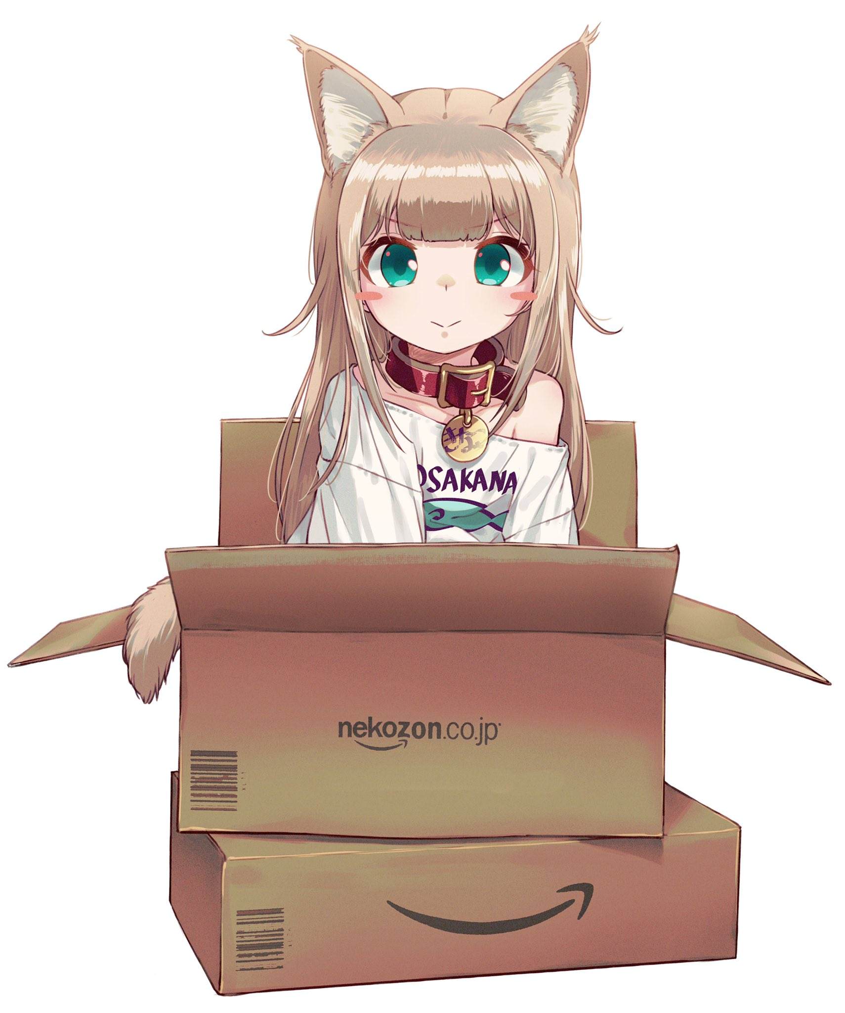 《我家的猫猫是可爱的女孩子！》漫画最新章节杂图17免费下拉式在线观看章节第【7】张图片