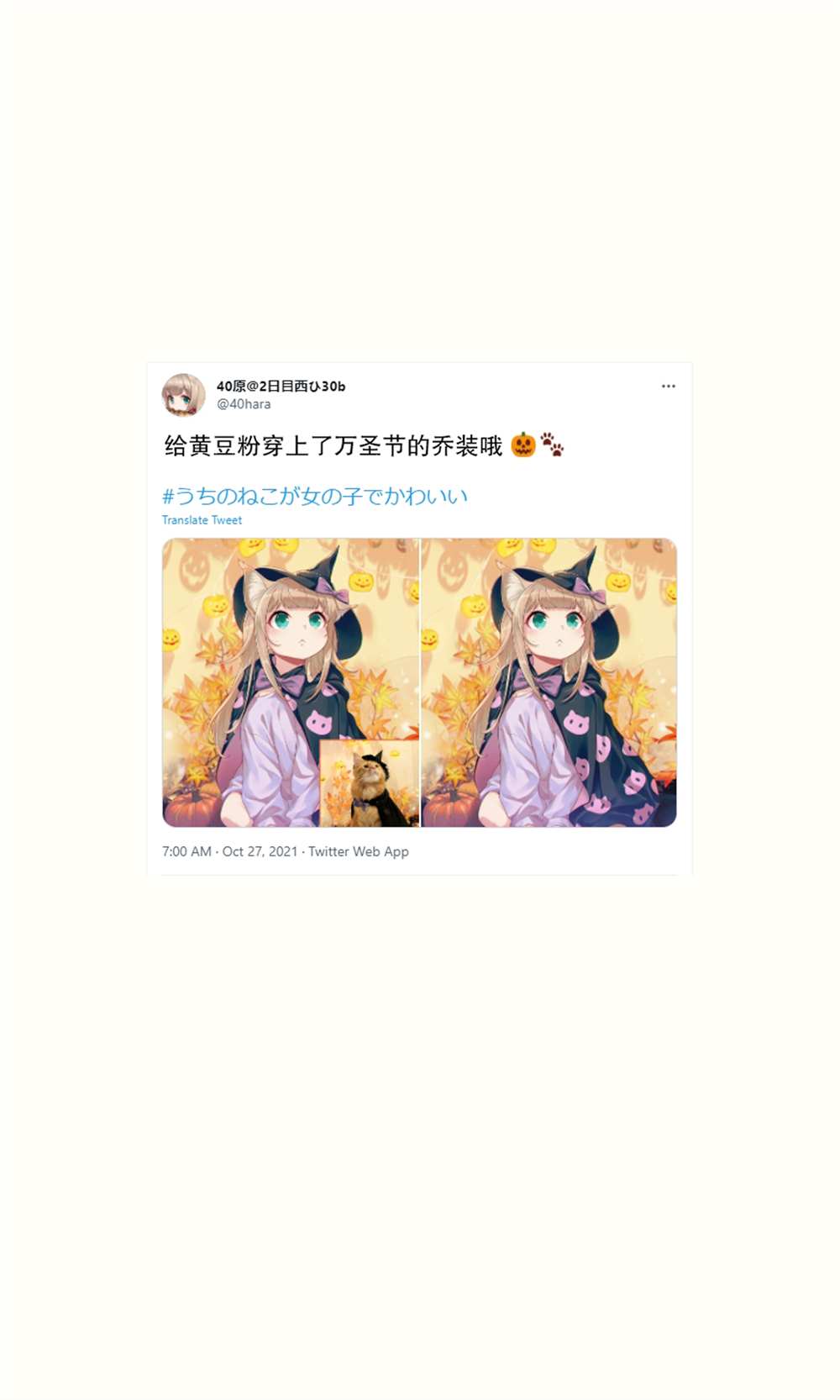 《我家的猫猫是可爱的女孩子！》漫画最新章节杂图16免费下拉式在线观看章节第【38】张图片