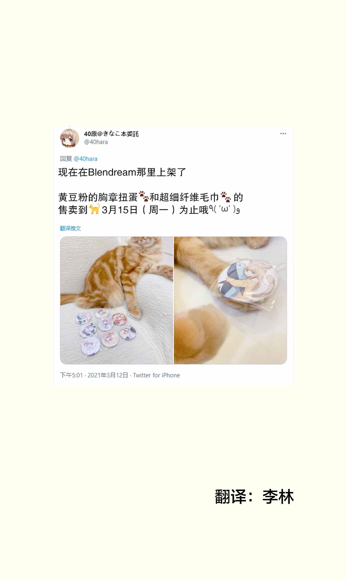 《我家的猫猫是可爱的女孩子！》漫画最新章节杂图12免费下拉式在线观看章节第【1】张图片