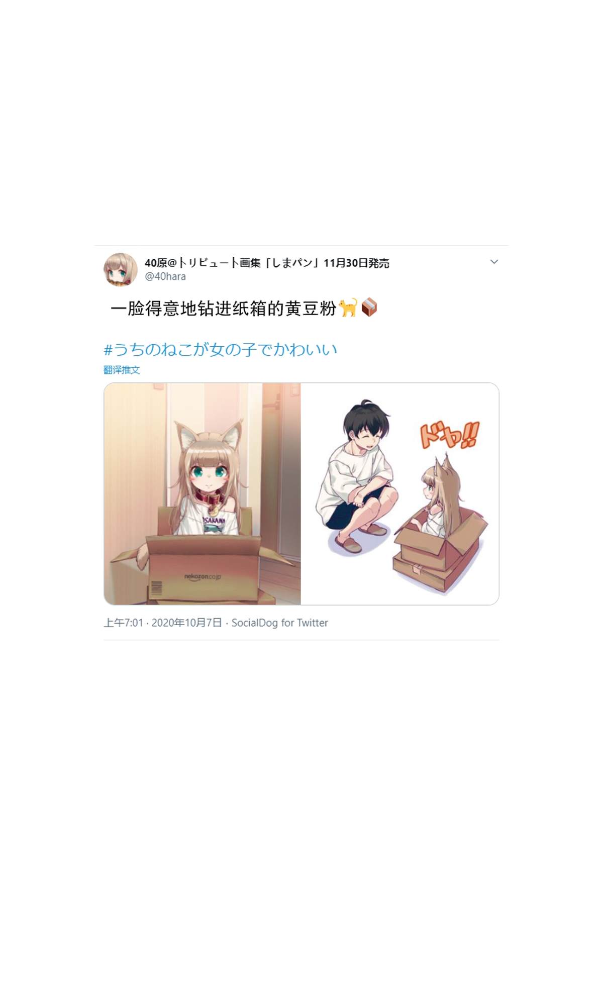 《我家的猫猫是可爱的女孩子！》漫画最新章节杂图6免费下拉式在线观看章节第【18】张图片