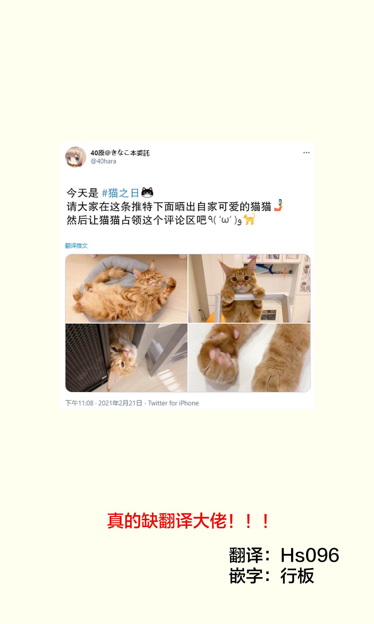 《我家的猫猫是可爱的女孩子！》漫画最新章节杂图10免费下拉式在线观看章节第【1】张图片