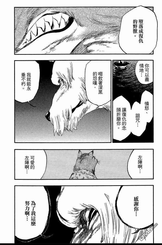 《死神》漫画最新章节第62卷免费下拉式在线观看章节第【146】张图片