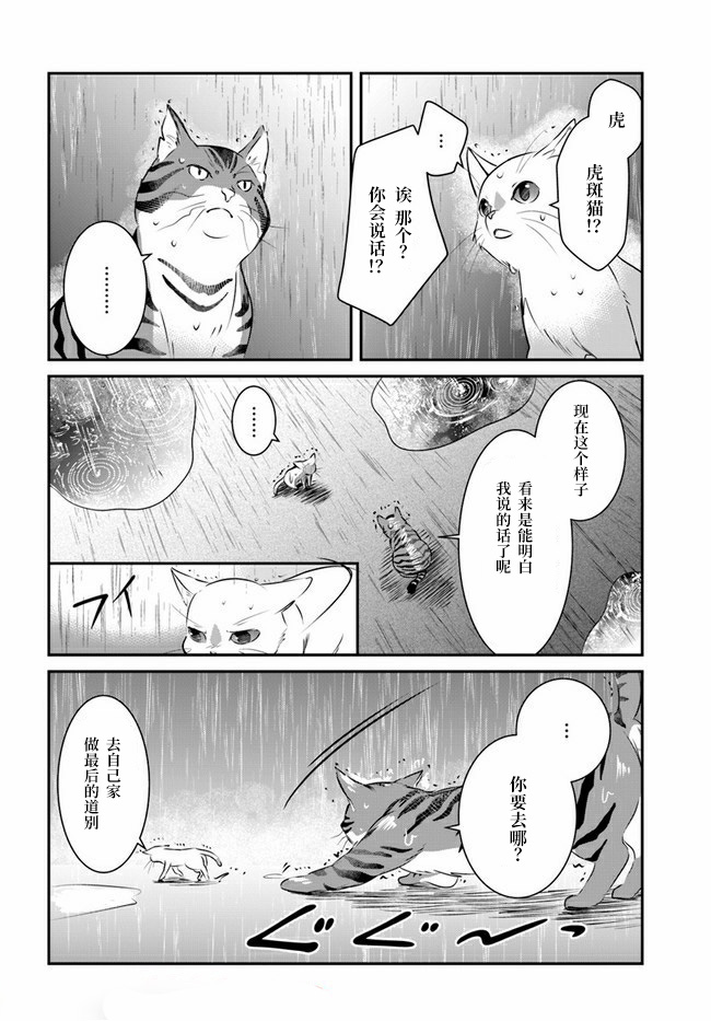 《想哭的我带上了猫的面具》漫画最新章节第8话免费下拉式在线观看章节第【9】张图片