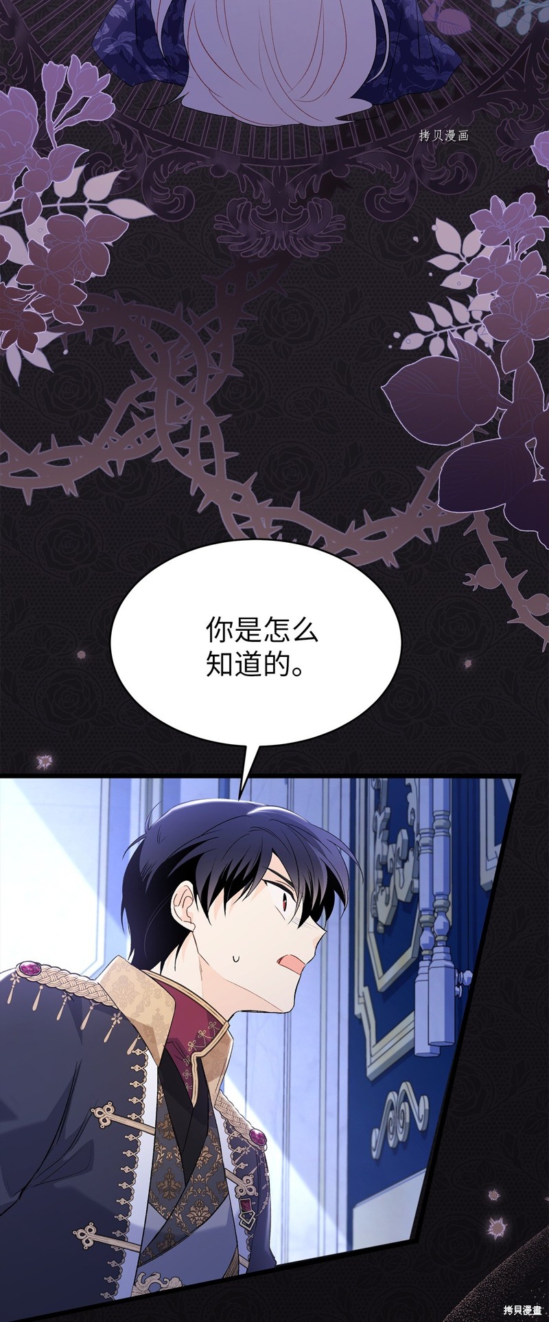 《兔子与黑豹的共生关系》漫画最新章节第69话免费下拉式在线观看章节第【31】张图片