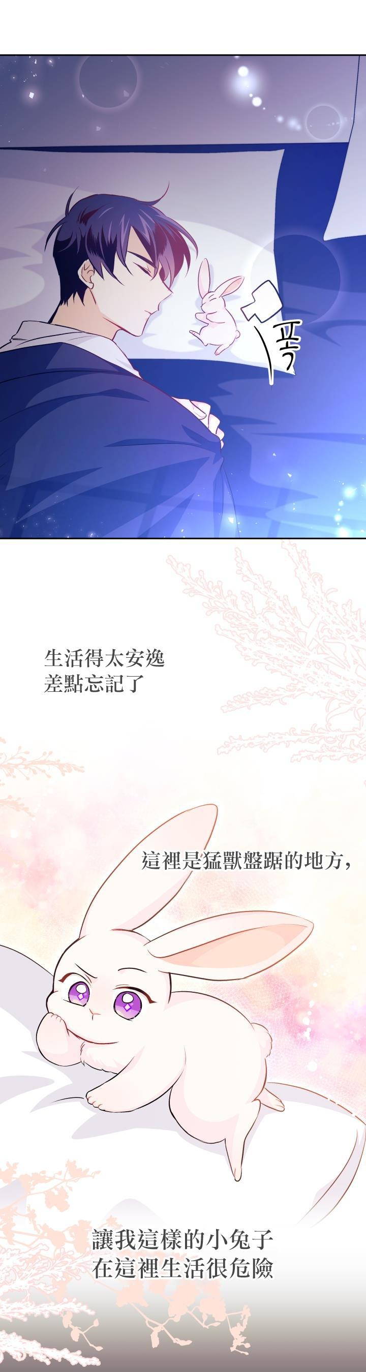 《兔子与黑豹的共生关系》漫画最新章节第16话免费下拉式在线观看章节第【17】张图片