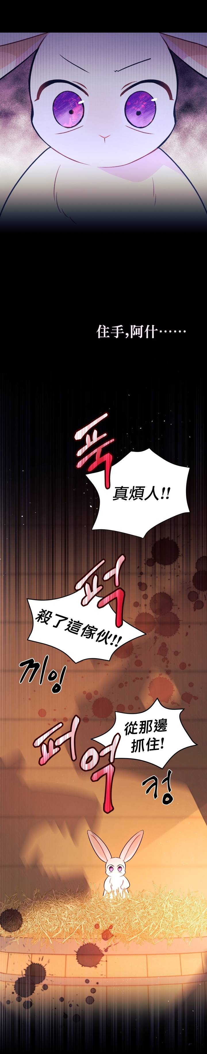 《兔子与黑豹的共生关系》漫画最新章节第28话免费下拉式在线观看章节第【20】张图片