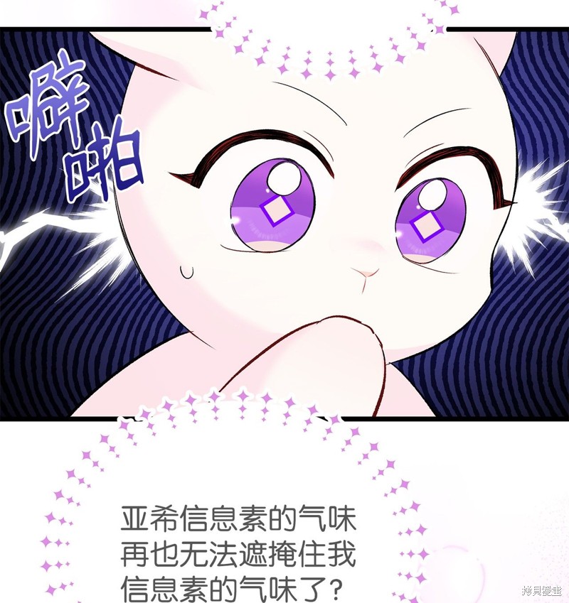 《兔子与黑豹的共生关系》漫画最新章节第63话免费下拉式在线观看章节第【13】张图片