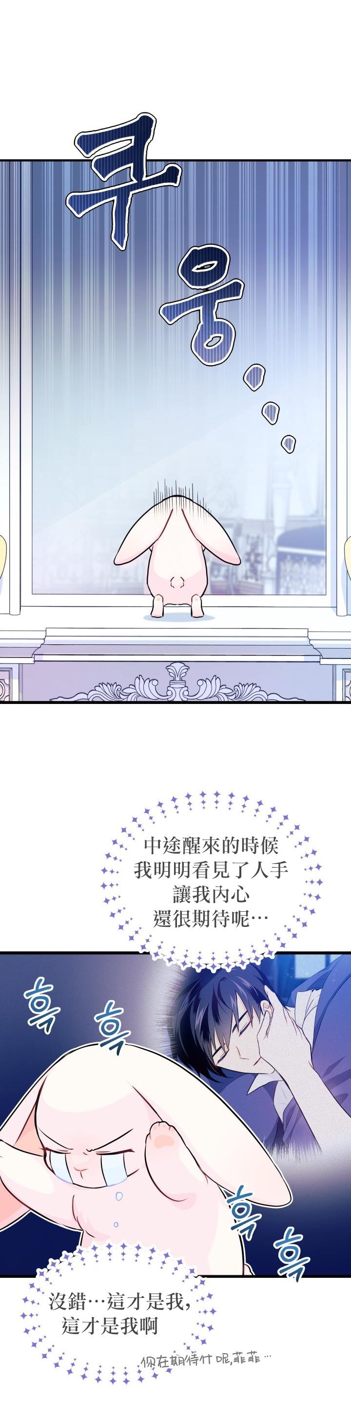 《兔子与黑豹的共生关系》漫画最新章节第11话免费下拉式在线观看章节第【9】张图片