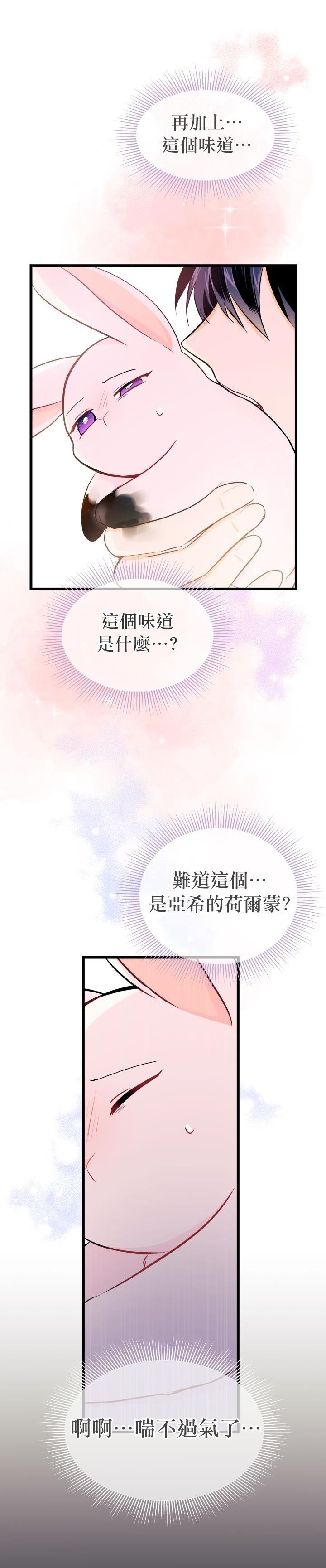 《兔子与黑豹的共生关系》漫画最新章节第10话免费下拉式在线观看章节第【33】张图片