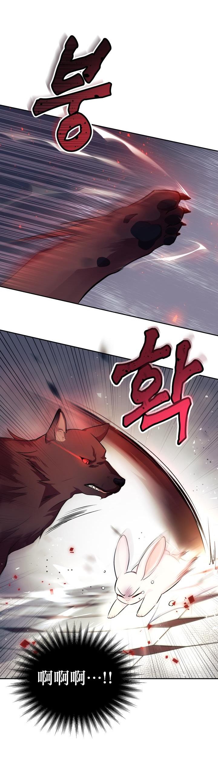 《兔子与黑豹的共生关系》漫画最新章节第14话免费下拉式在线观看章节第【20】张图片