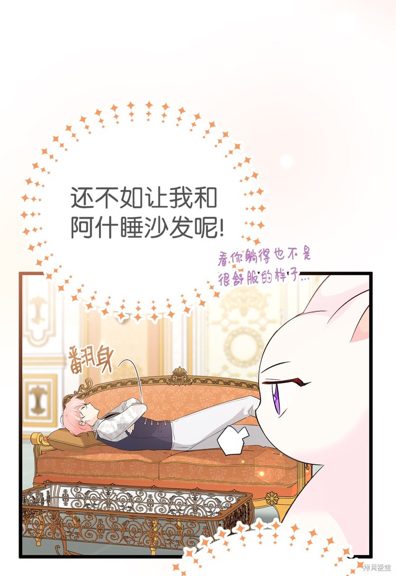 《兔子与黑豹的共生关系》漫画最新章节第63话免费下拉式在线观看章节第【8】张图片