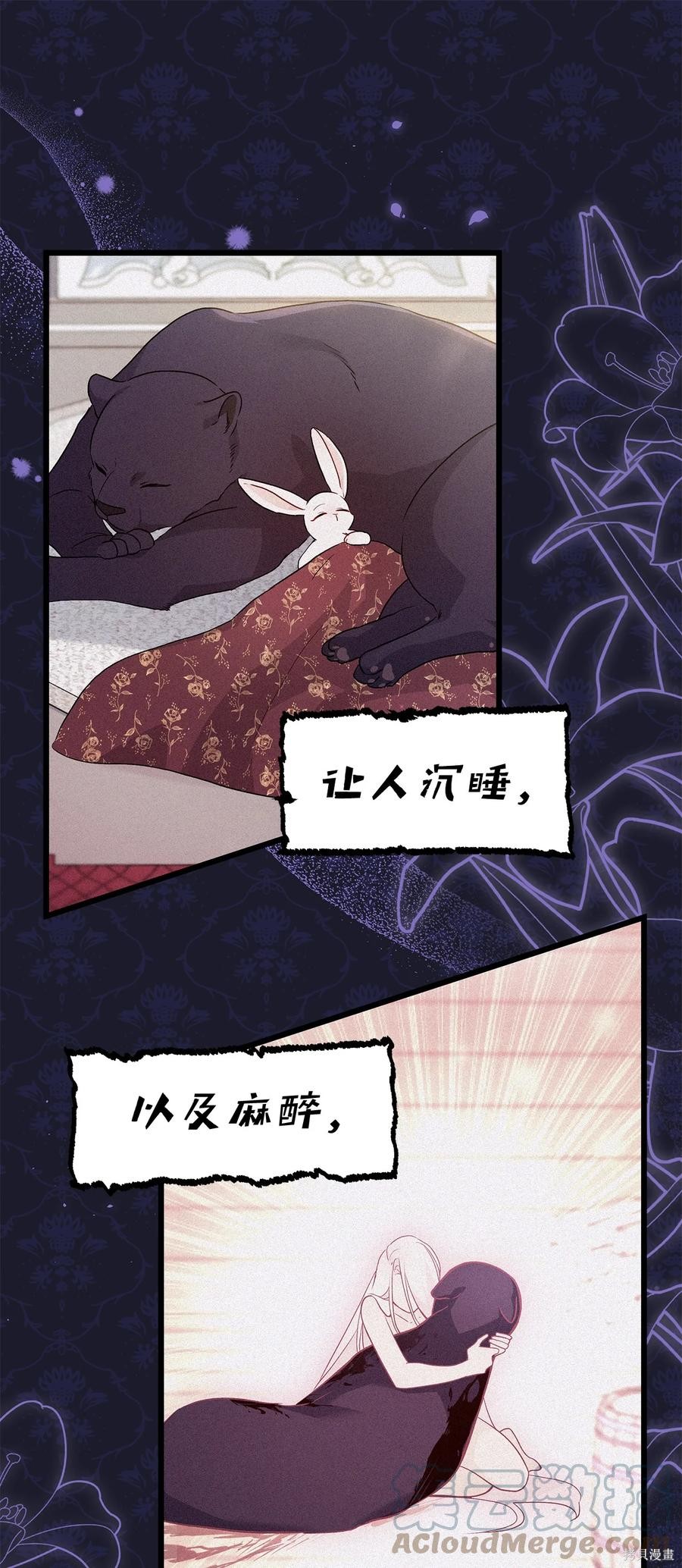 《兔子与黑豹的共生关系》漫画最新章节第47话免费下拉式在线观看章节第【69】张图片