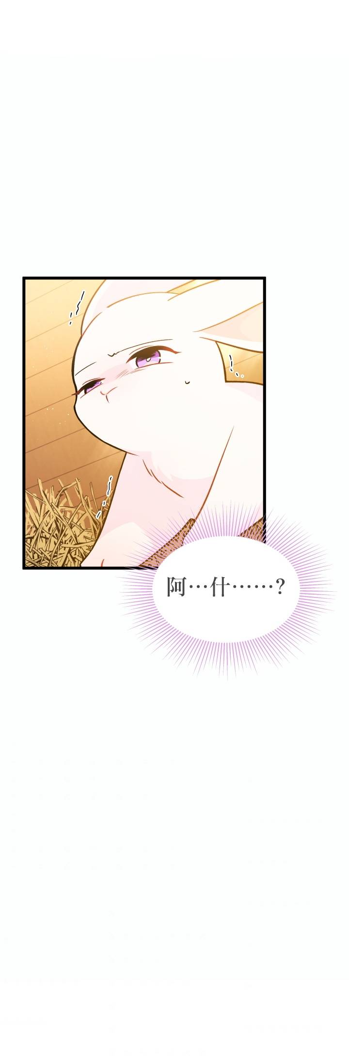 《兔子与黑豹的共生关系》漫画最新章节第28话免费下拉式在线观看章节第【28】张图片