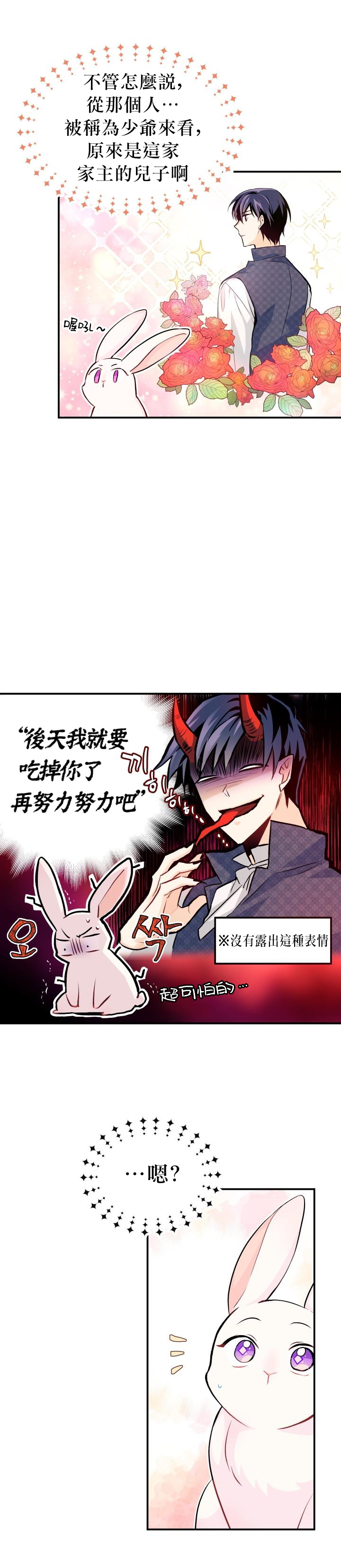 《兔子与黑豹的共生关系》漫画最新章节第3话免费下拉式在线观看章节第【26】张图片