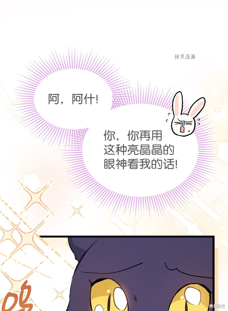 《兔子与黑豹的共生关系》漫画最新章节第72话免费下拉式在线观看章节第【56】张图片