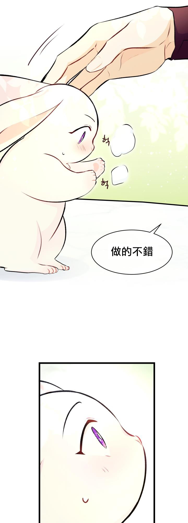 《兔子与黑豹的共生关系》漫画最新章节第6话免费下拉式在线观看章节第【10】张图片