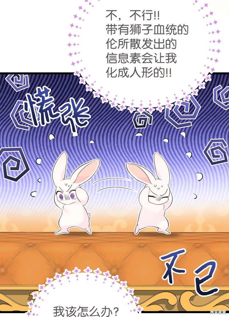 《兔子与黑豹的共生关系》漫画最新章节第63话免费下拉式在线观看章节第【35】张图片