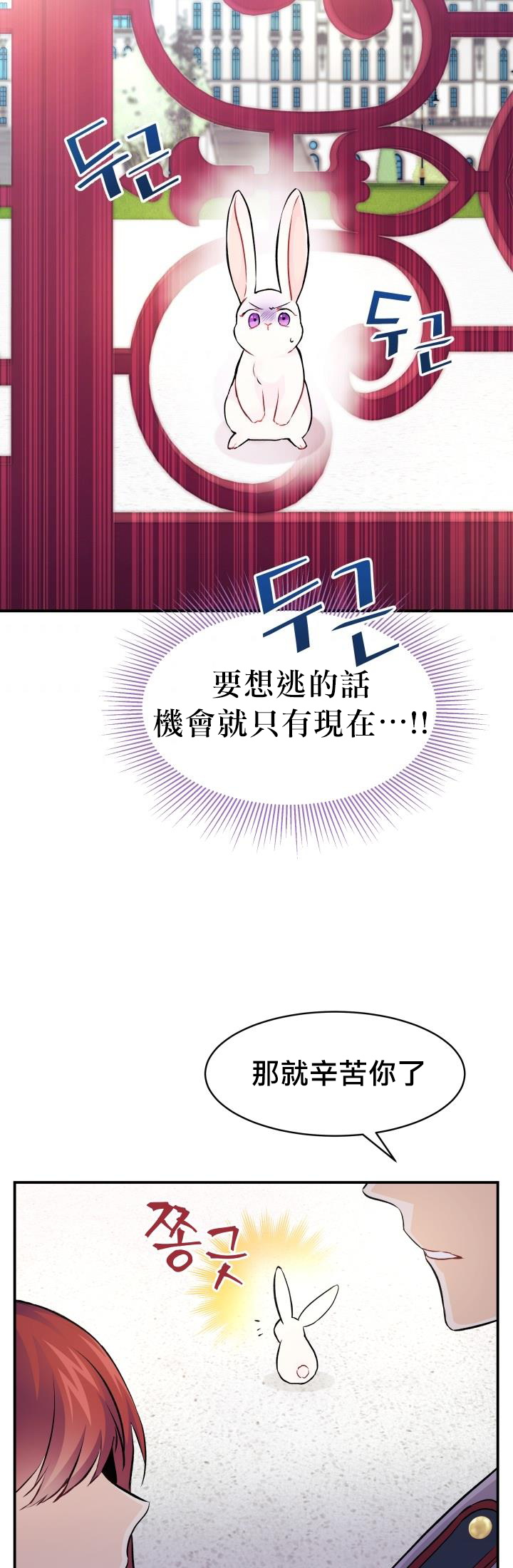 《兔子与黑豹的共生关系》漫画最新章节第3话免费下拉式在线观看章节第【30】张图片