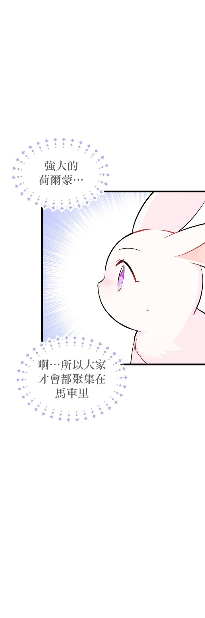 《兔子与黑豹的共生关系》漫画最新章节第27话免费下拉式在线观看章节第【20】张图片