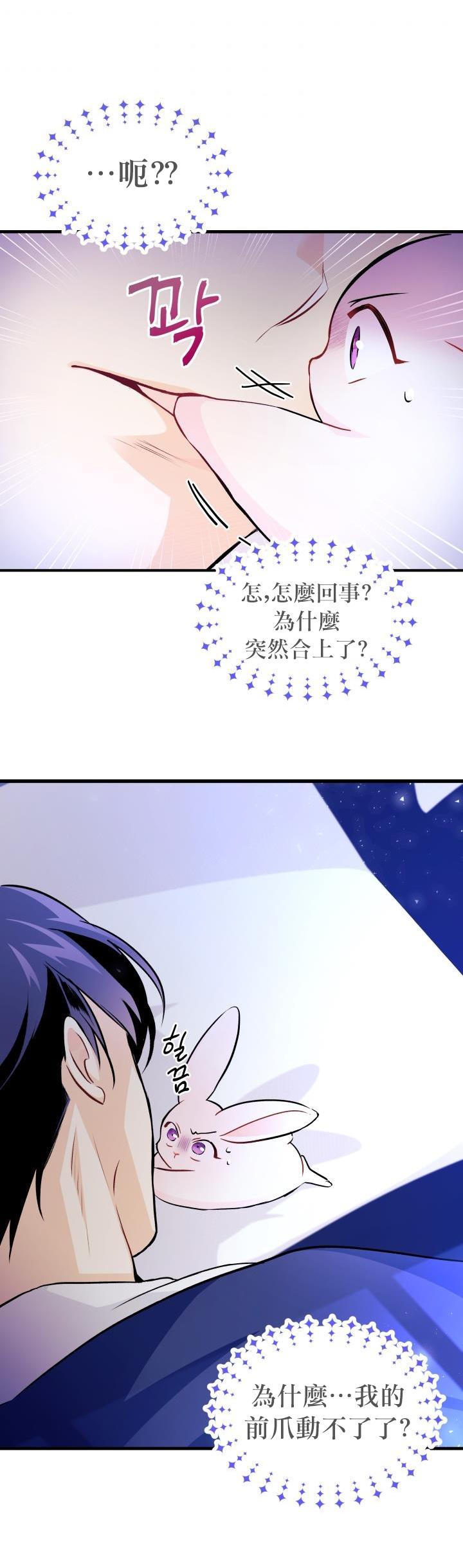 《兔子与黑豹的共生关系》漫画最新章节第16话免费下拉式在线观看章节第【26】张图片