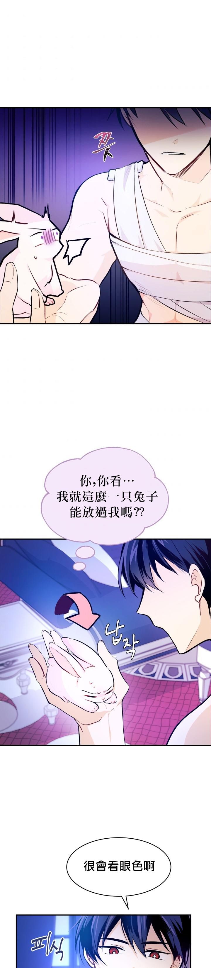 《兔子与黑豹的共生关系》漫画最新章节第4话免费下拉式在线观看章节第【18】张图片