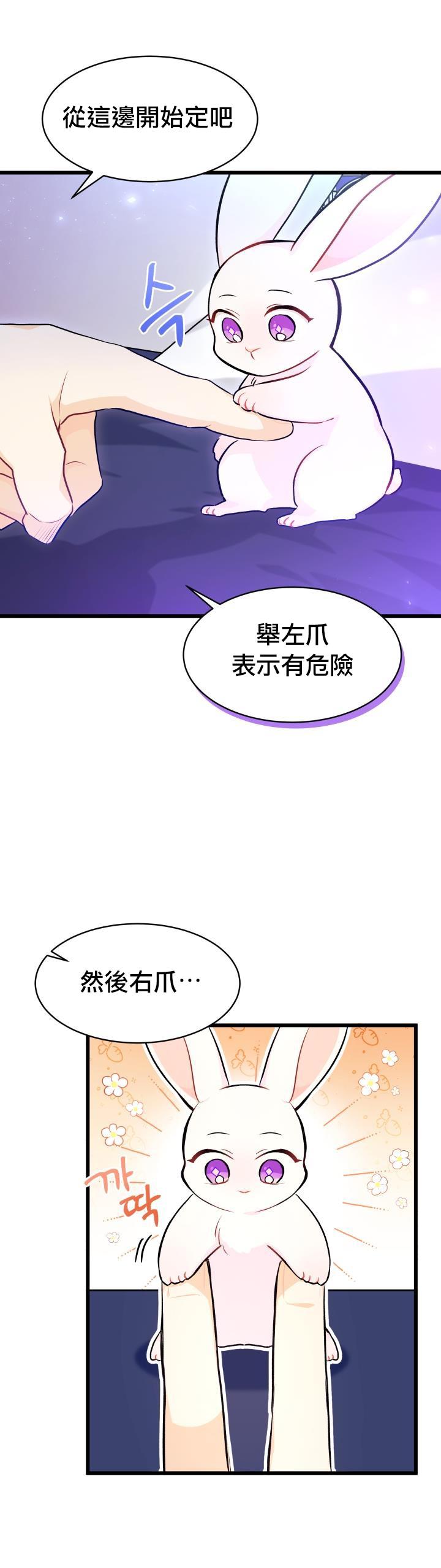 《兔子与黑豹的共生关系》漫画最新章节第16话免费下拉式在线观看章节第【7】张图片