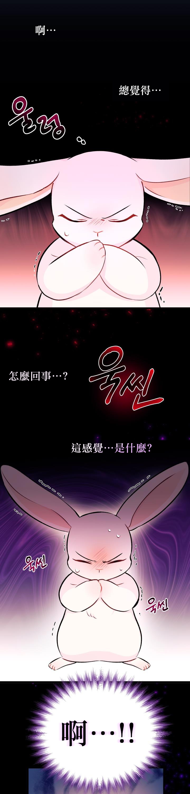 《兔子与黑豹的共生关系》漫画最新章节第6话免费下拉式在线观看章节第【8】张图片