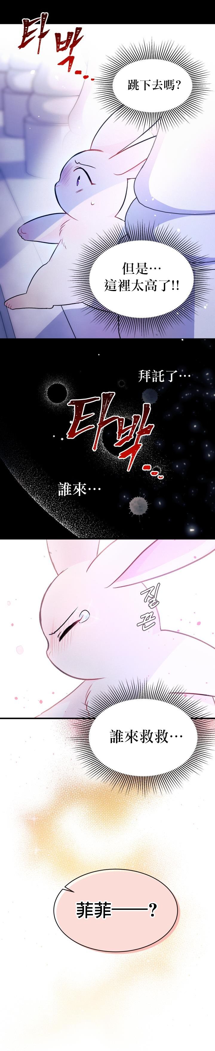 《兔子与黑豹的共生关系》漫画最新章节第14话免费下拉式在线观看章节第【8】张图片